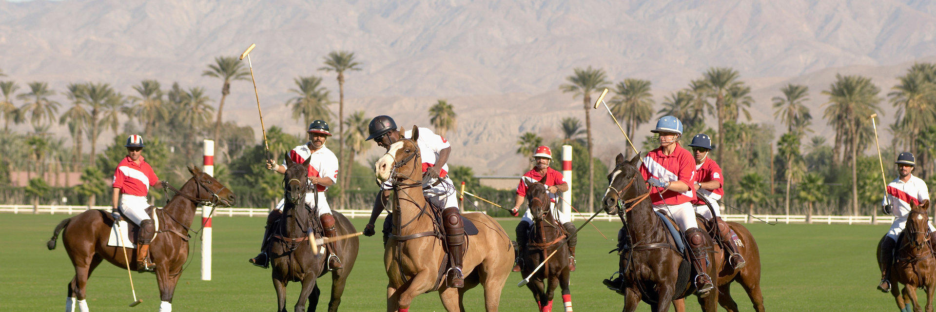 Spanish & Polo in Buenos Aires, Argentina Ailola Buenos Aires