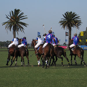 Take polo lessons for a truly porteño experience